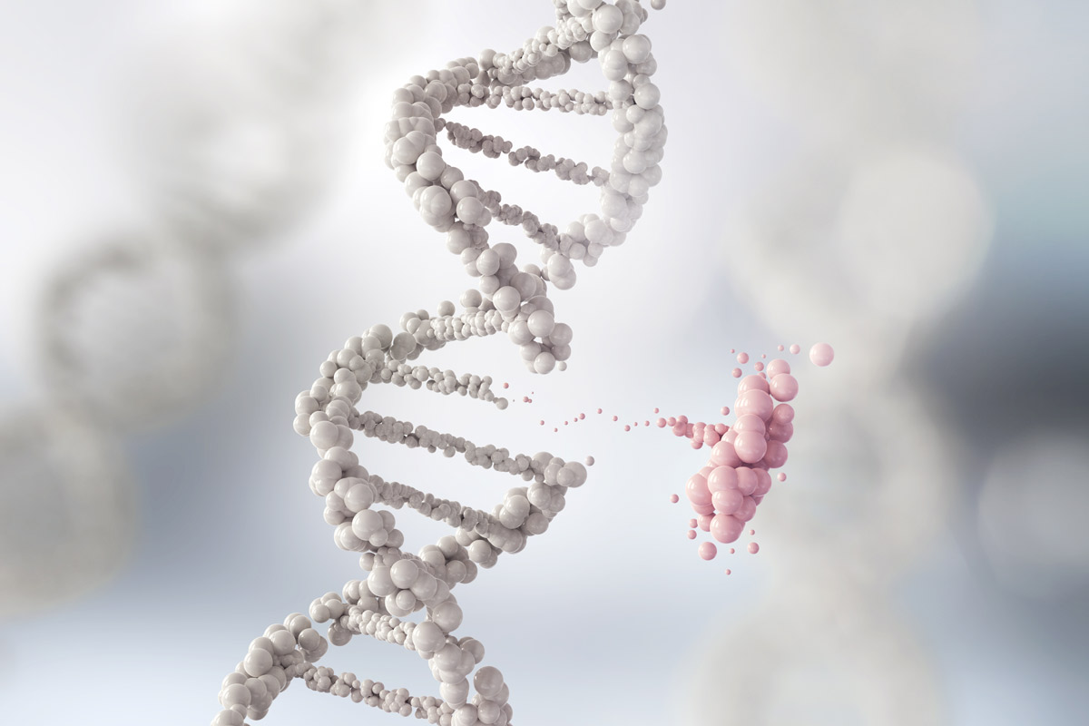 A white strand of DNA with part of the helix removed and highlighted in pink.