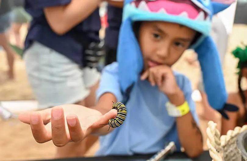 Young boy with a caterpillar crawling on his pinky. 
