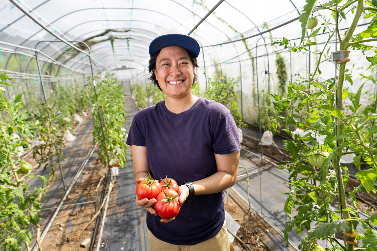 a woman holds three tomatoes in a greenhouse