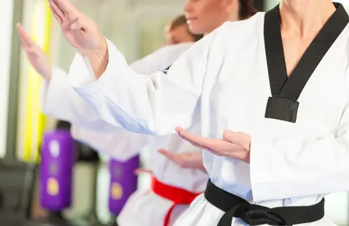A group does a martial arts form.