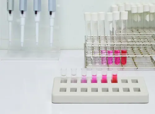 Pipettes and sample tubes sit in racks.