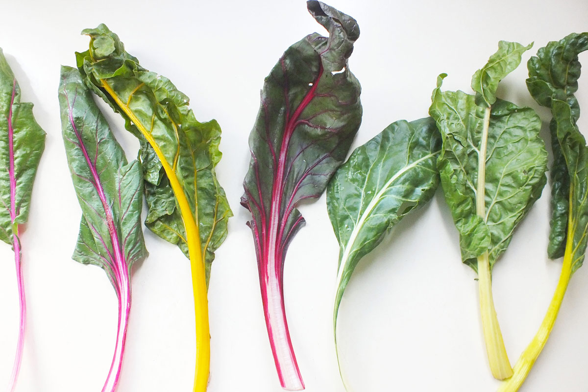 Colorful rainbow chard laid out on a white counter top.