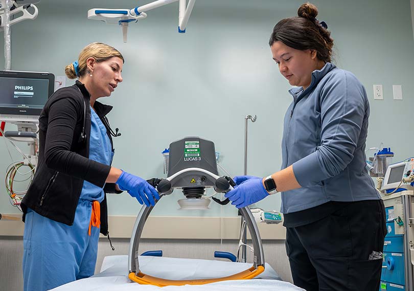 Two healthcare professionals in scrubs and gloves set up a LUCAS 3 chest compression device in a clinical setting, focused and attentive.