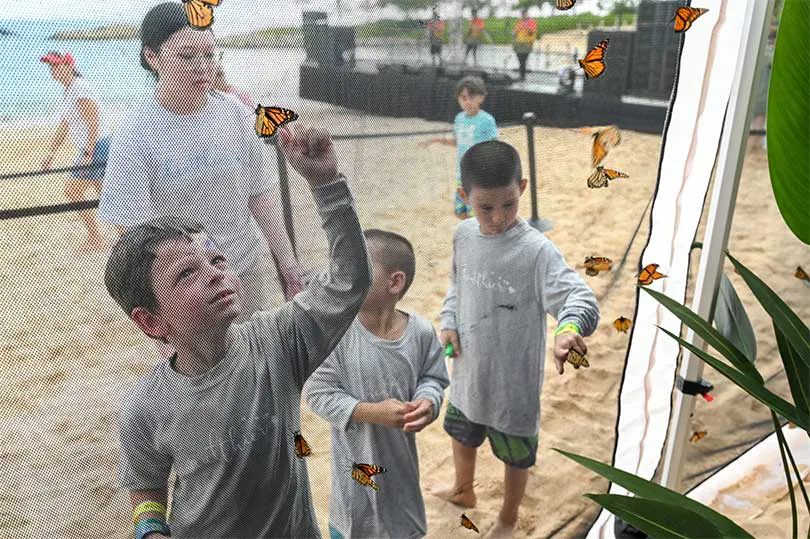 Group of three young boys peering into the butterfly enclosure.