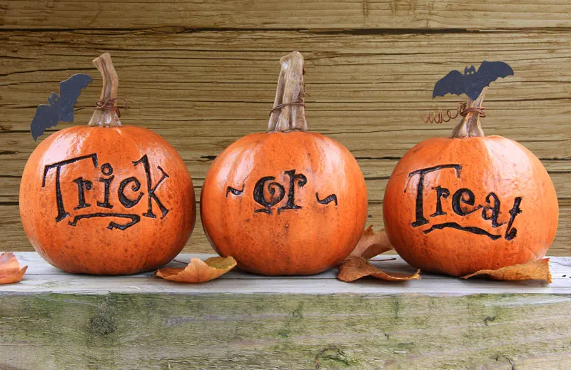 Halloween carved pumpkins.
