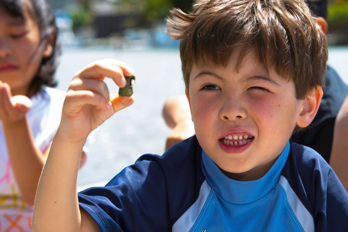 A young boy looking closely at a toy.