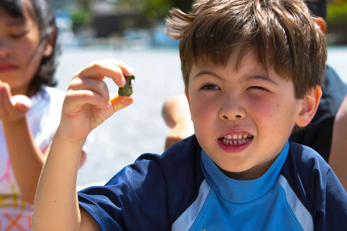 A young boy looking closely at a toy.