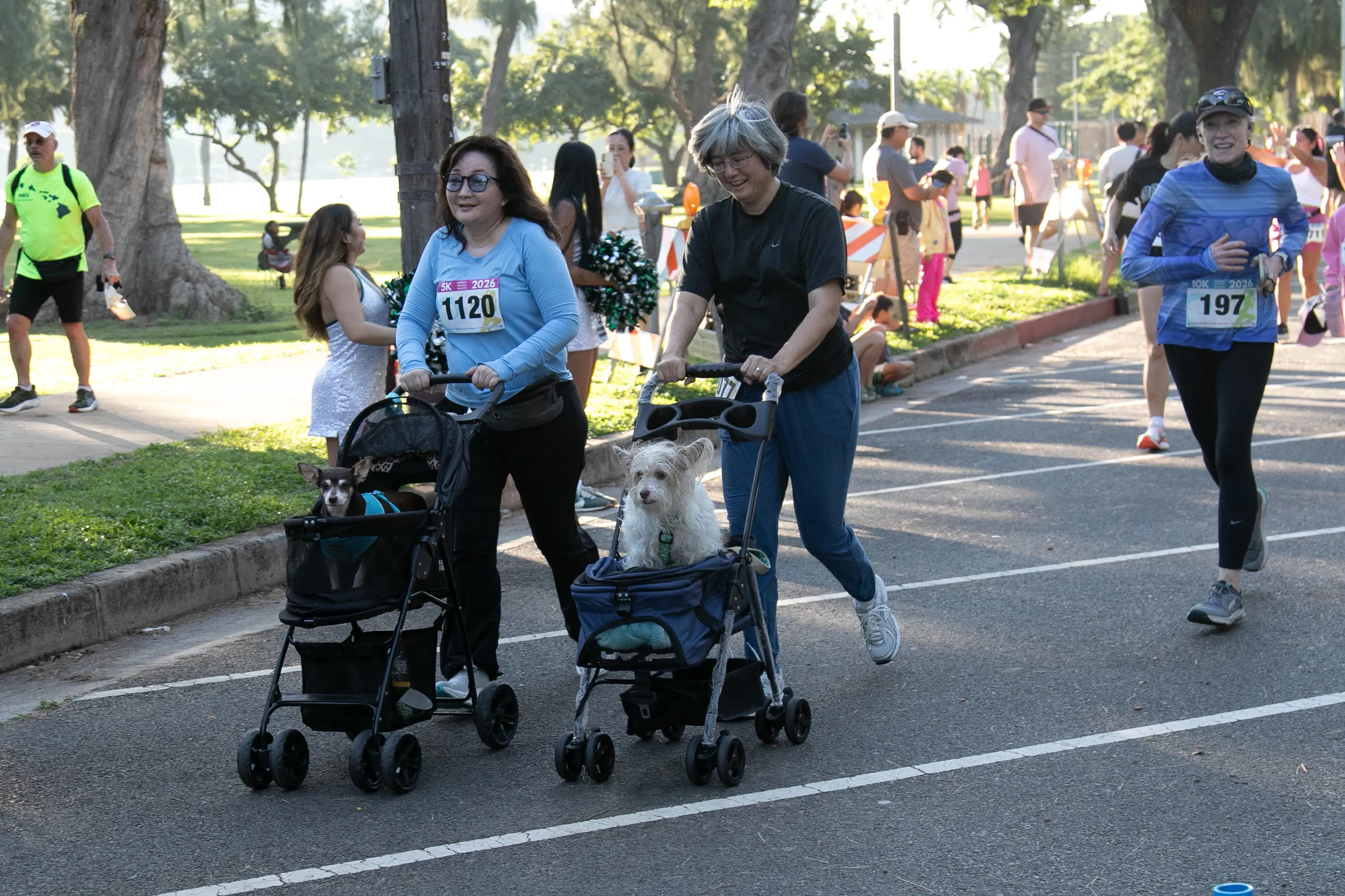 Two 5K participants pushing their dogs in strollers.